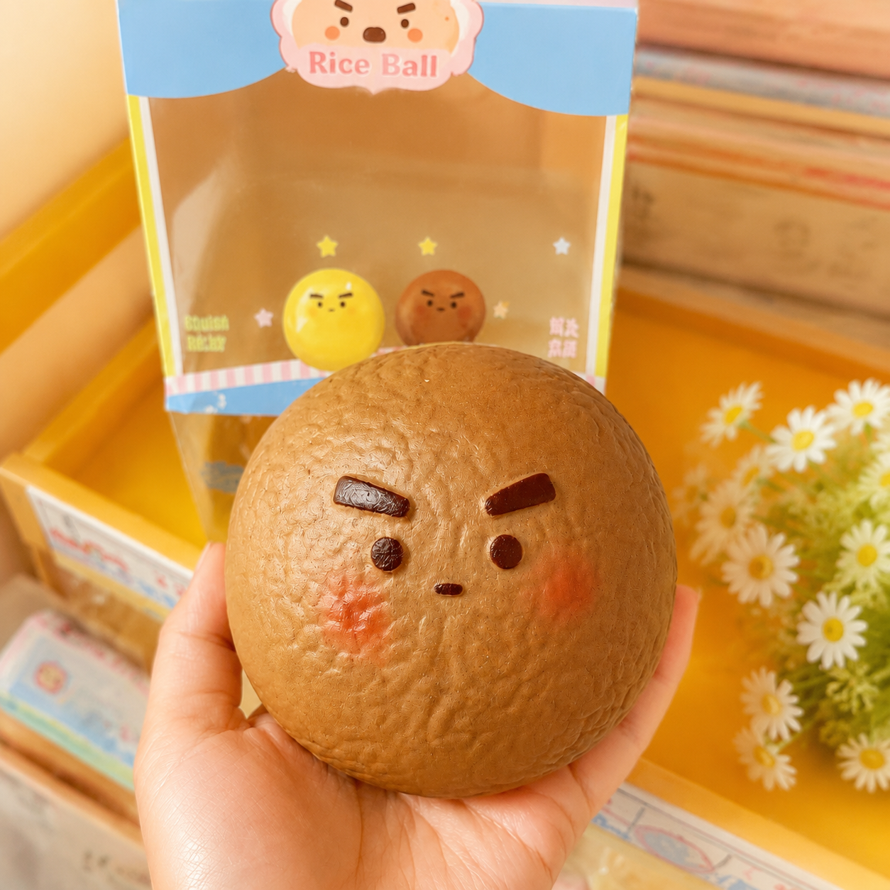 Rice Ball