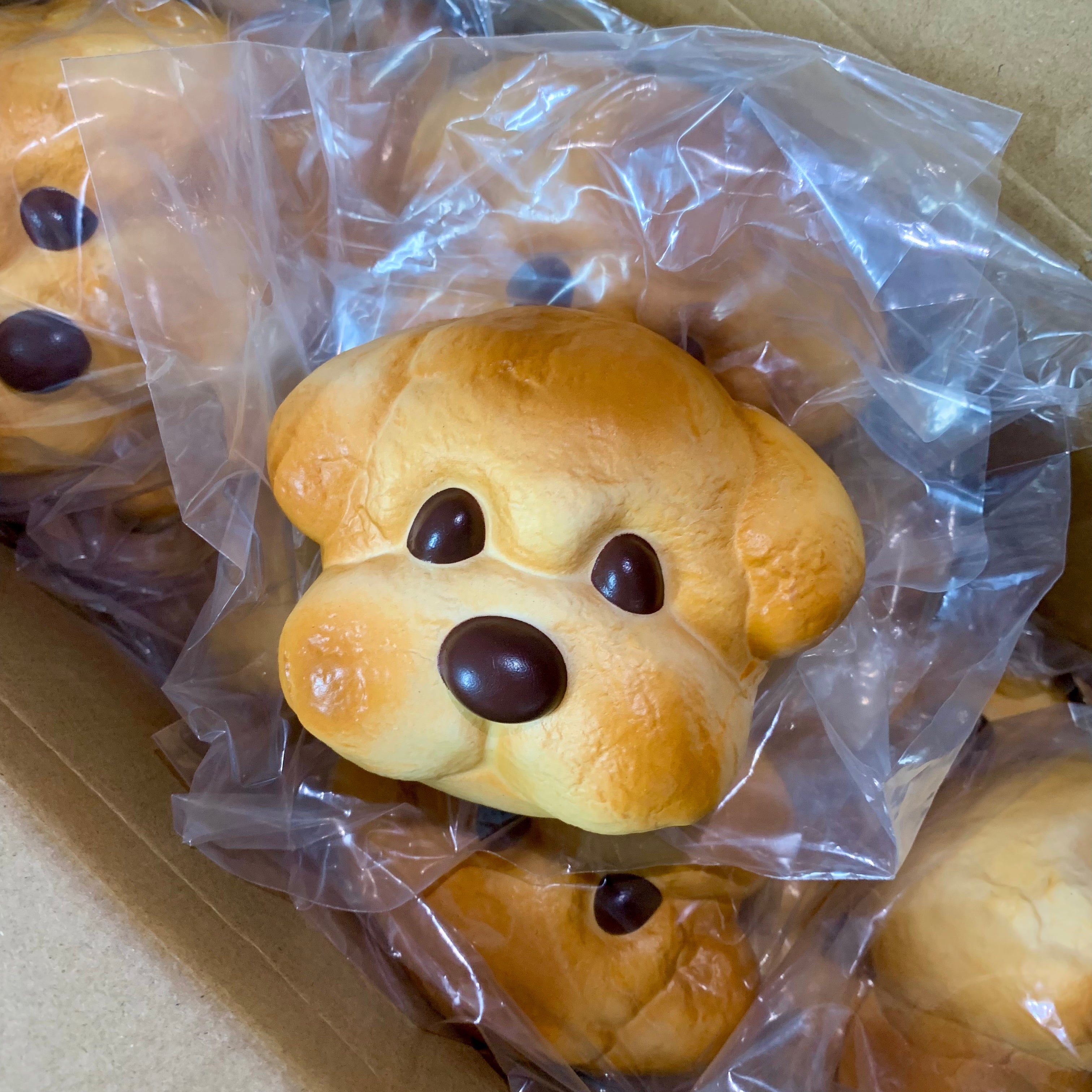 Adorable Bread Puppy Squishy