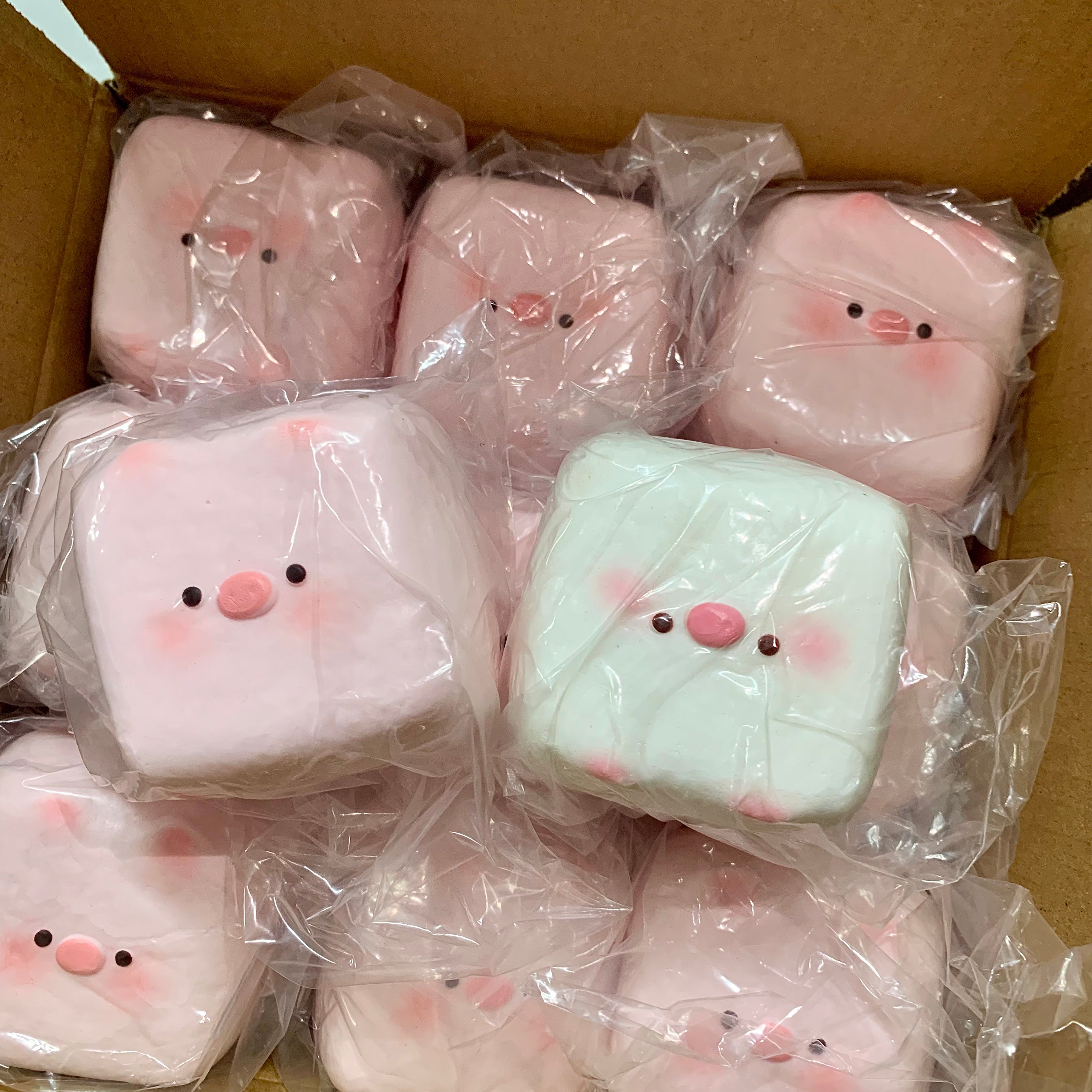 Cute Pig Milk Tofu Squishy 🐷