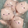 Cute Flat Pig Squishy