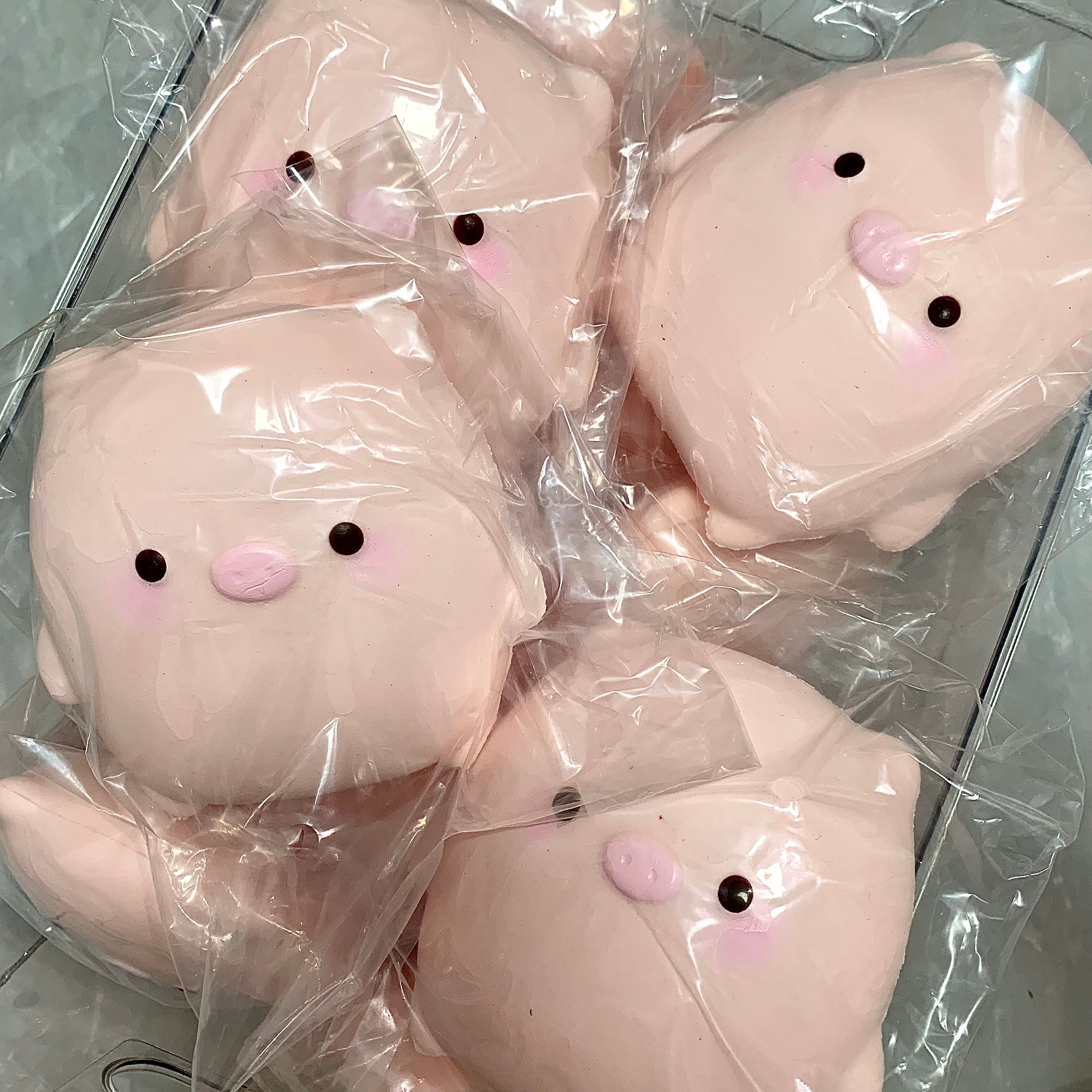 Cute Flat Pig Squishy
