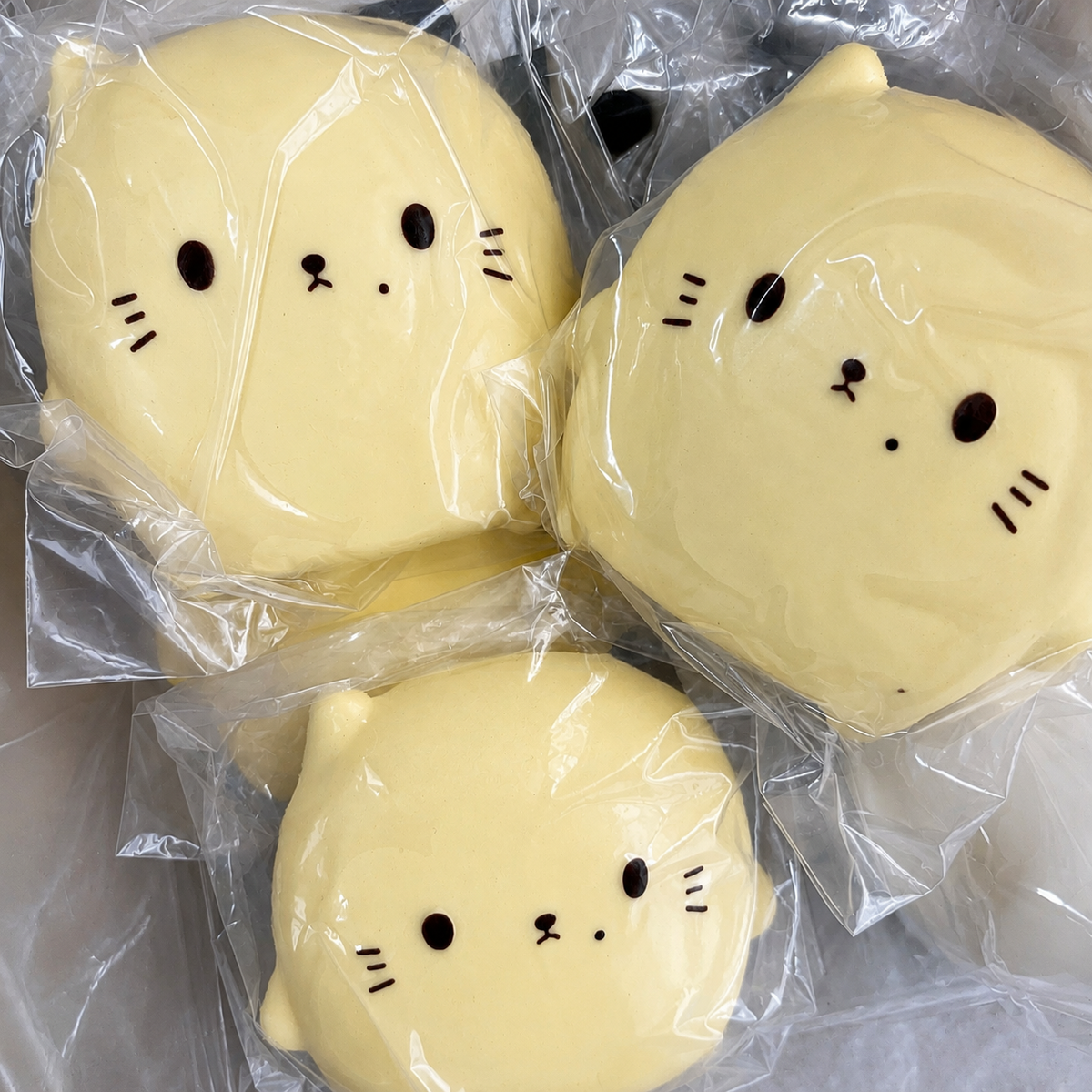 Flat Little Kitty Squishy 🐱