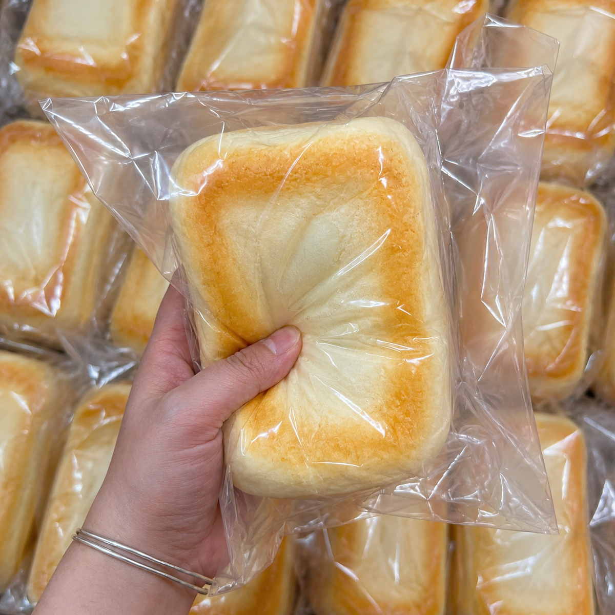 Dark & Light Toasted Rice Cake Squishy 🍡🤎